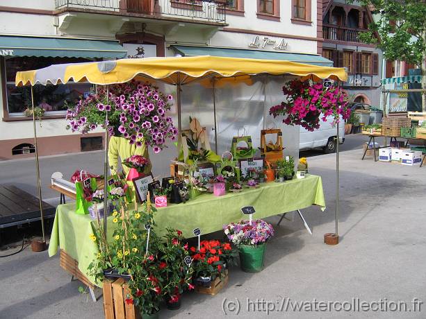 2007-05-12_08-37-20_Mai_37,6mm_1_250_eme_Canon PowerShot A95 